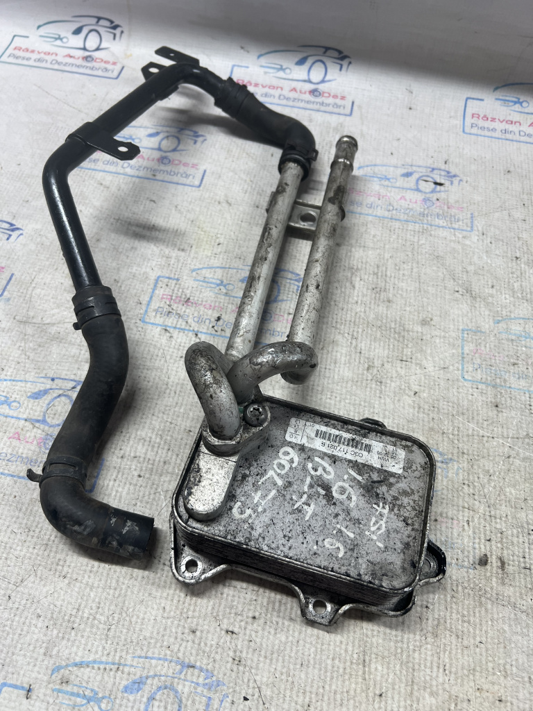 Termoflot Volkswagen Golf 5 1.6 2005, 03C117021E