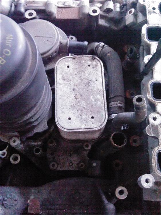 Termoflot VOLKSWAGEN PHAETON 3.0 TDI an fabr. 2010