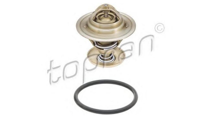 Termostat Audi AUDI 100 Avant (4A, C4) 1990-1994 #2 000065