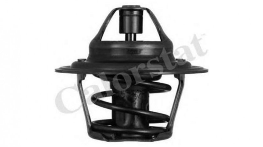 Termostat Audi AUDI 50 (86) 1974-1978 036121113