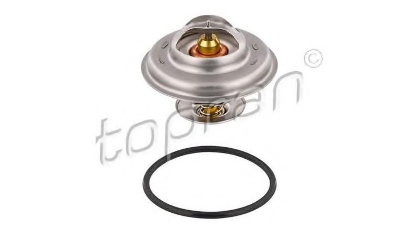 Termostat Audi AUDI 80 (81, 85, B2) 1978-1986 #2 00009