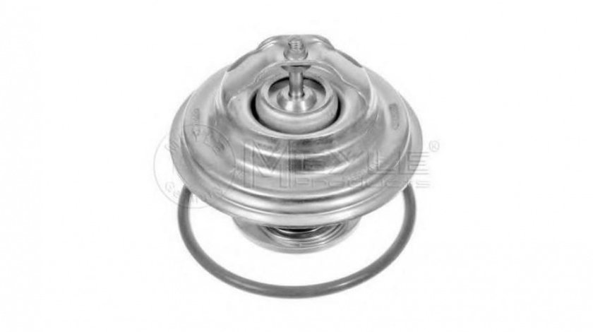 Termostat Audi AUDI A4 (8E2, B6) 2000-2004 #2 0282870007