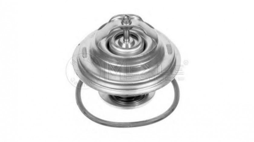 Termostat Audi AUDI CABRIOLET (8G7, B4) 1991-2000 #2 0282870006