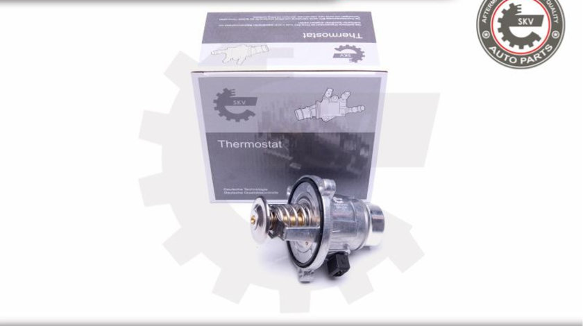 Termostat ; BMW 3 4 5 6 7 X5 X6 ; 11537502779