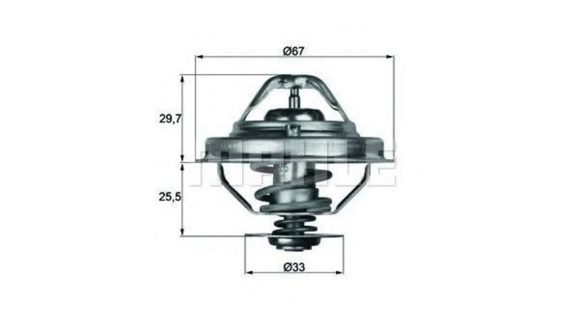 Termostat BMW 5 Touring (E34) 1991-1997 #2 11531727145