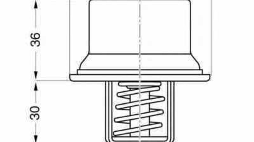 Termostat BMW Z3 cupe E36 WAHLER 4621.80D