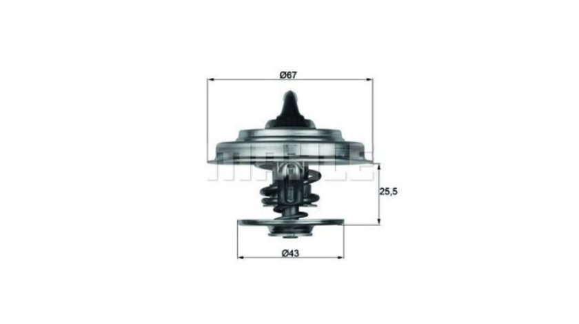 Termostat Chrysler VOYAGER Mk III (RG, RS) 1999-2008 #2 0012039075