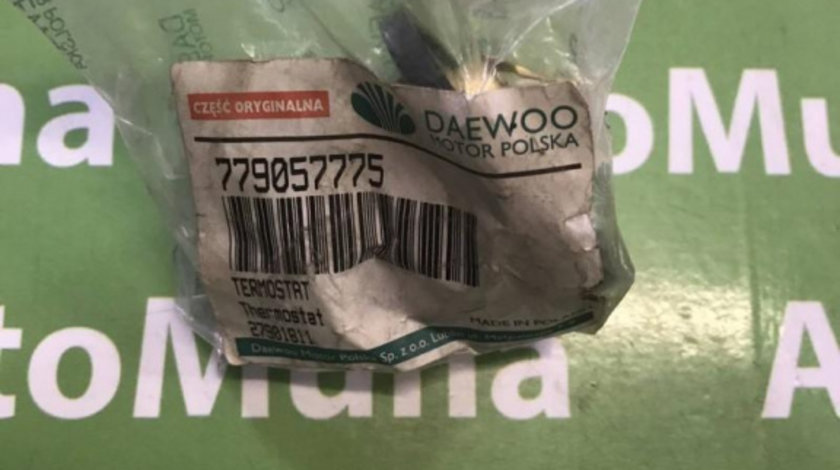 Termostat Daewoo Lublin 2 (1997->) 779057775