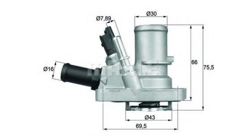 Termostat Fiat ALBEA (178_) 1996-2009 #3 41009088D