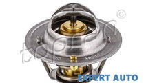 Termostat Ford Transit Tourneo (1994-2000) 300 628