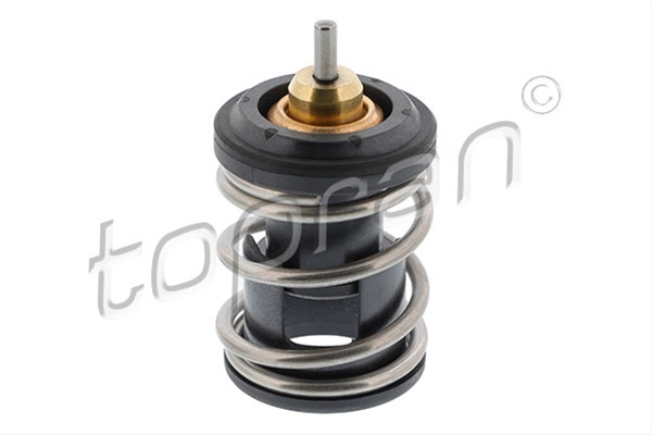 Termostat Hans Pries Topran Audi 116 999