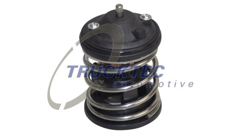 Termostat,lichid racire (0819283 TRUCKTEC) BMW,MINI