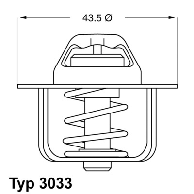 Termostat,lichid racire (303378 WAHLER)
