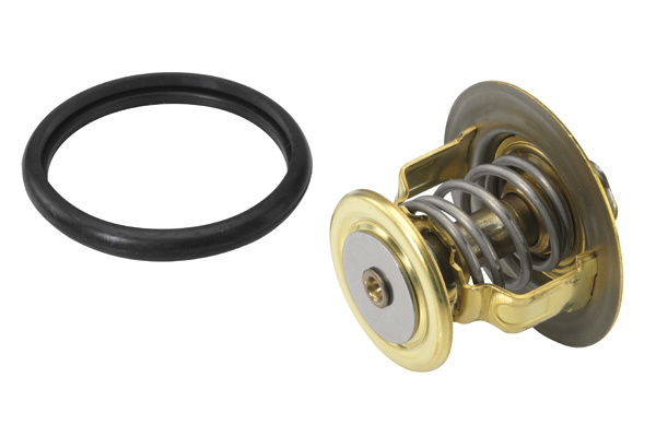 Termostat,lichid racire (41013188D WAHLER) FORD