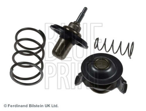 Termostat,lichid racire (ADJ139204 BLP) LAND ROVER