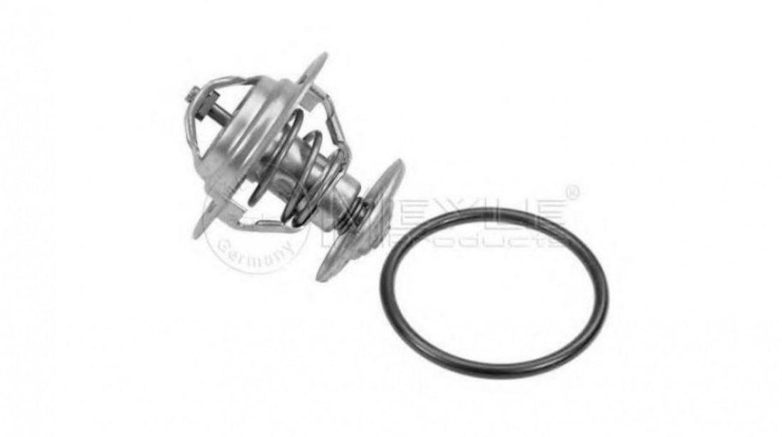 Termostat,lichid racire Audi AUDI 80 (89, 89Q, 8A, B3) 1986-1991 #2 0282710002