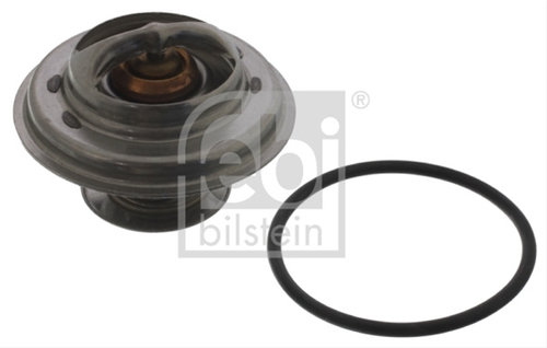 Termostat,lichid Racire Febi Bilstein Bmw 01598