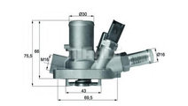 Termostat,lichid racire Fiat DOBLO Combi (152, 263...