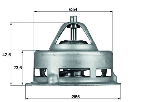 Termostat,lichid Racire Mahle Original TX 2 75