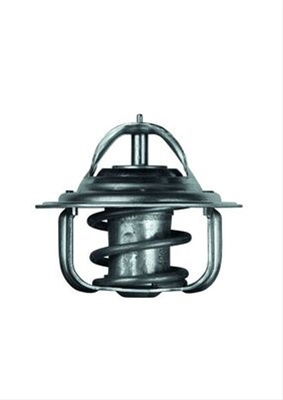 Termostat,lichid Racire Mahle Original TX 5 83D
