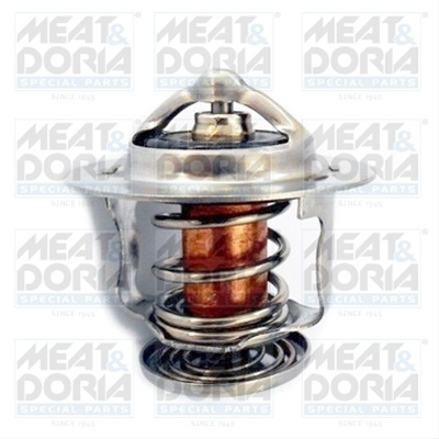 Termostat,lichid Racire Meat & Doria Ford 92338