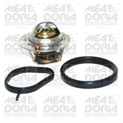 Termostat,lichid Racire Meat & Doria Ford 92627