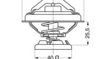 Termostat,lichid racire MERCEDES C-CLASS Combi (S2...