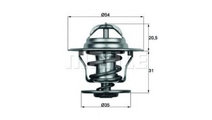 Termostat,lichid racire Seat SEAT CORDOBA (6K2) 19...