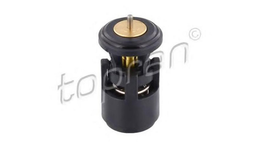 Termostat,lichid racire Skoda FELICIA Mk II (6U1) 1998-2001 #2 000057