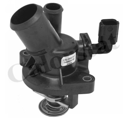 Termostat,lichid racire (TE693998J CALORSTAT by Vernet) FORD