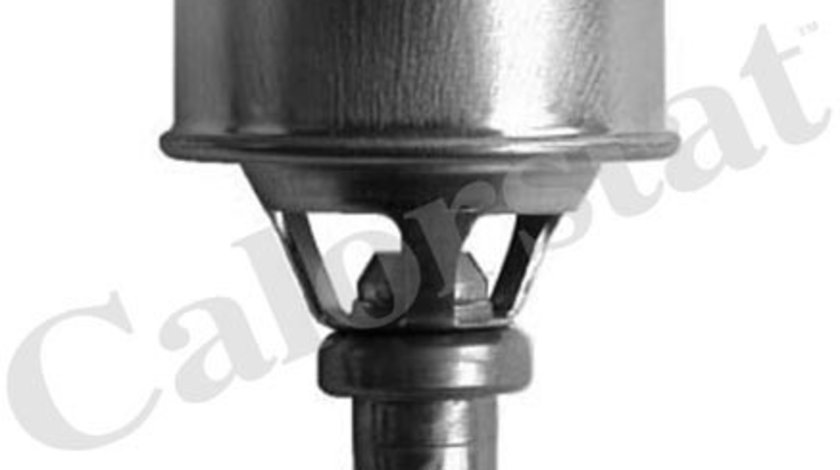 Termostat,lichid racire (TH449589 CALORSTAT by Vernet) DACIA,RENAULT,VOLVO