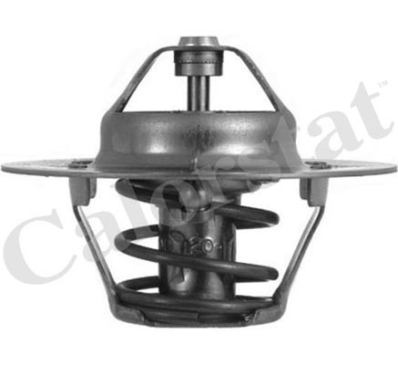 Termostat,lichid racire (TH460880J CALORSTAT by Vernet) SKODA