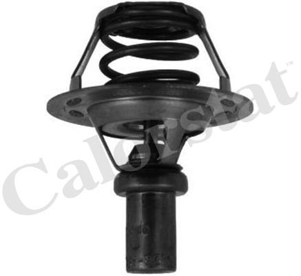 Termostat,lichid racire (TH528491J CALORSTAT by Vernet) RENAULT