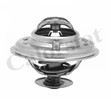 Termostat,lichid racire (TH597387J CALORSTAT by Vernet) VW
