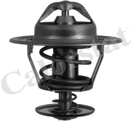 Termostat,lichid racire (TH600788J CALORSTAT by Vernet) FORD
