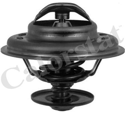 Termostat,lichid racire (TH624392J CALORSTAT by Vernet) BMW