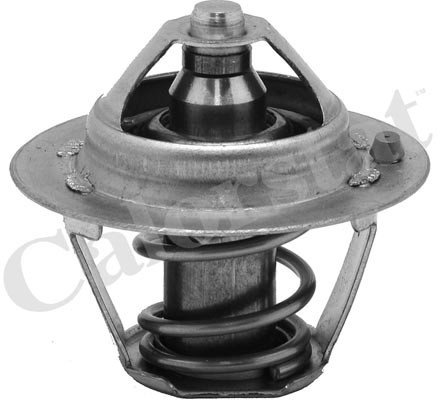 Termostat,lichid racire (TH624582J CALORSTAT by Vernet) FORD