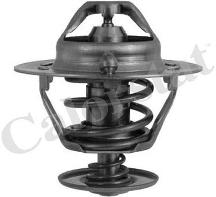 Termostat,lichid racire (TH629488J CALORSTAT by Vernet) HYUNDAI,KIA