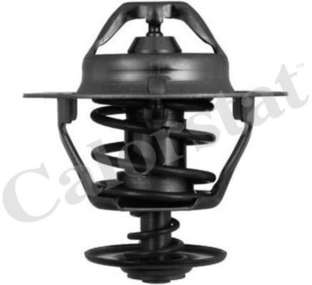 Termostat,lichid racire (TH631988J CALORSTAT by Vernet) FORD,NISSAN
