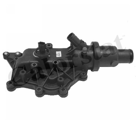 Termostat,lichid racire (TH715989J CALORSTAT by Vernet) RENAULT