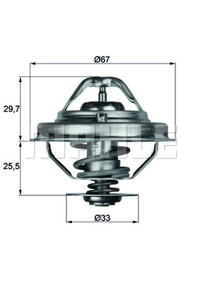 Termostat,lichid racire (TX3888D MAH) BMW