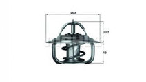 Termostat,lichid racire Volkswagen VW GOLF (17) 19...