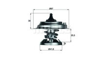 Termostat Mercedes UNIMOG 1966-2016 #2 417675D