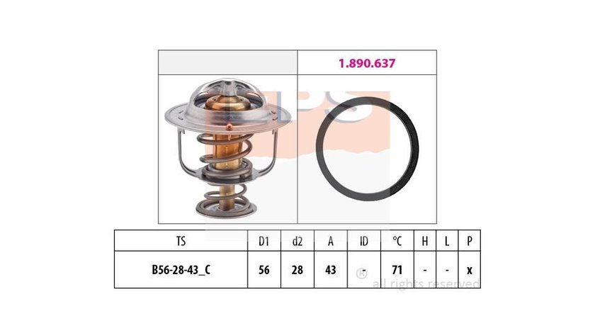 Termostat Nissan INTERSTAR platou / sasiu 2003-2016 #2 2120000QAB