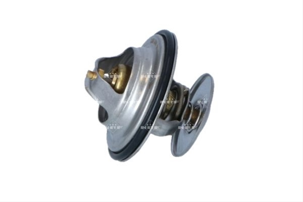 Termostat Nrf Man 725100