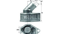 Termostat Opel ASTRA F (56_, 57_) 1991-1998 #2 133...