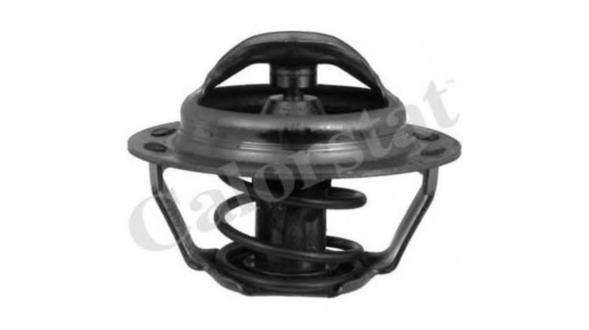 Termostat Peugeot 306 Cabriolet (7D, N3, N5) 1994-2002 #2 1014483