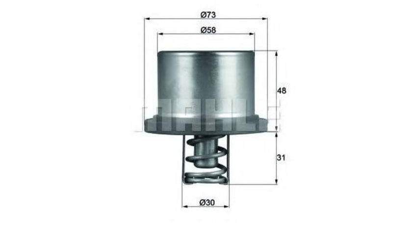 Termostat Porsche CAYENNE (955) 2002-2010 #2 94810612501