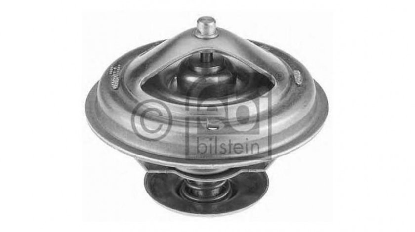 Termostat Porsche CAYENNE (955) 2002-2010 #2 0052032975