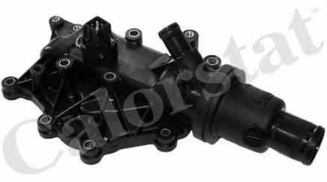 Termostat RENAULT GRAND SCÉNIC III JZ0/1 EPS 1880705